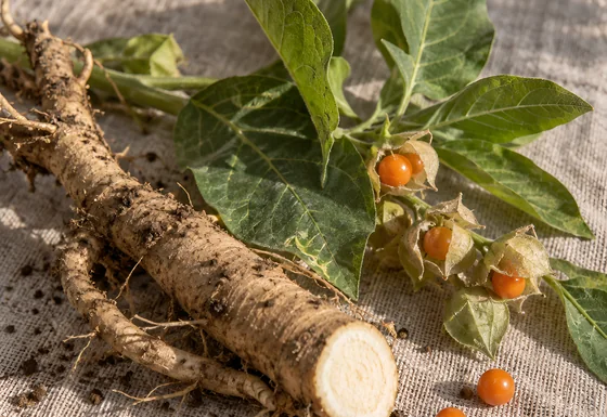 KSM-66® Ashwagandha