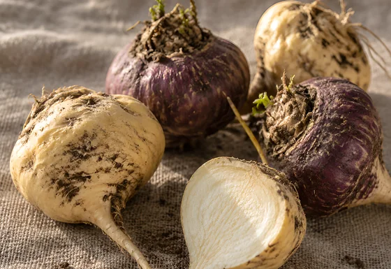 Maca Root