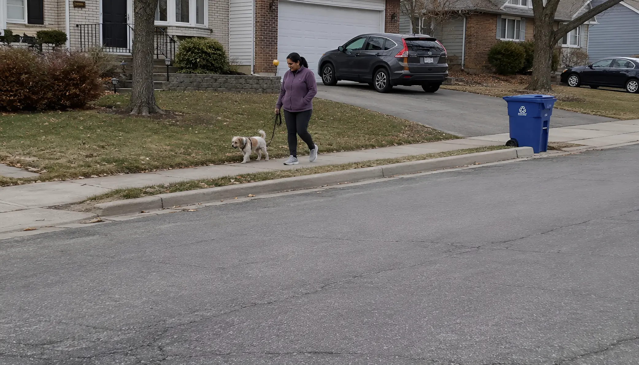 A woman walking her dog along a suburban street on a grey morning